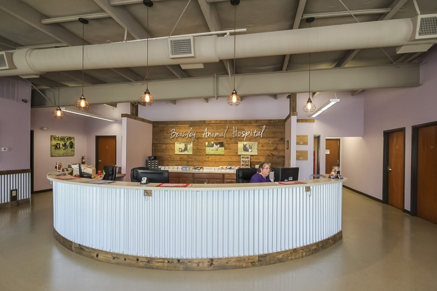 Bethel Animal Hospital - Blue Frog
