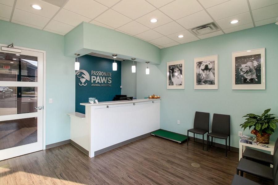 Interior upfit for veterinary clinics and hospitals | NC, SC