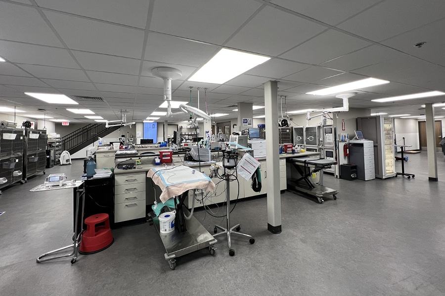 Veterinary Architectural Resource: Two Winning Projects in